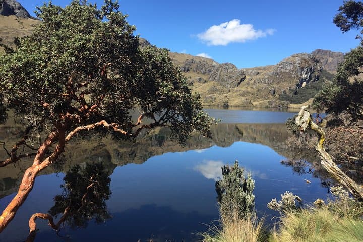 Cuenca to Guayaquil: Cajas National Park Hike and Cacao Farm Day Tour photo 2