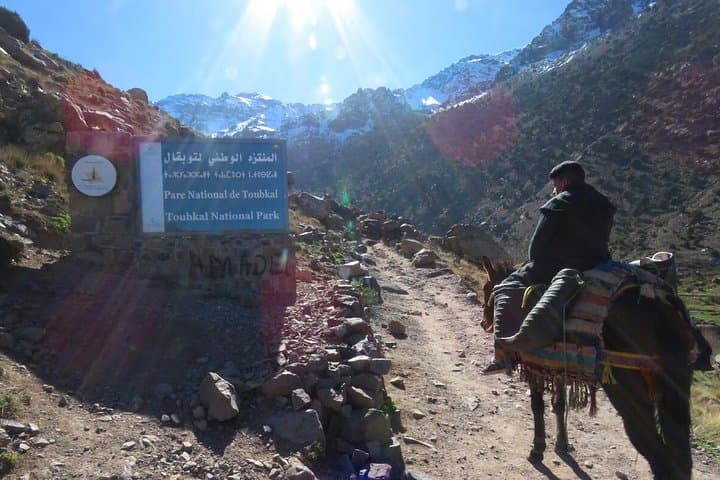 Day Hike to Imlil Valley and Kasbah Toubkal from Marrakech photo 2