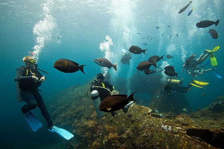 Tulamben USS Liberty Shipwreck Scuba Diving — Full-Day Bali Wreck Dives photo 2