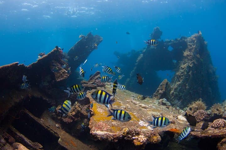 Tulamben USS Liberty Shipwreck Scuba Diving — Full-Day Bali Wreck Dives photo 3