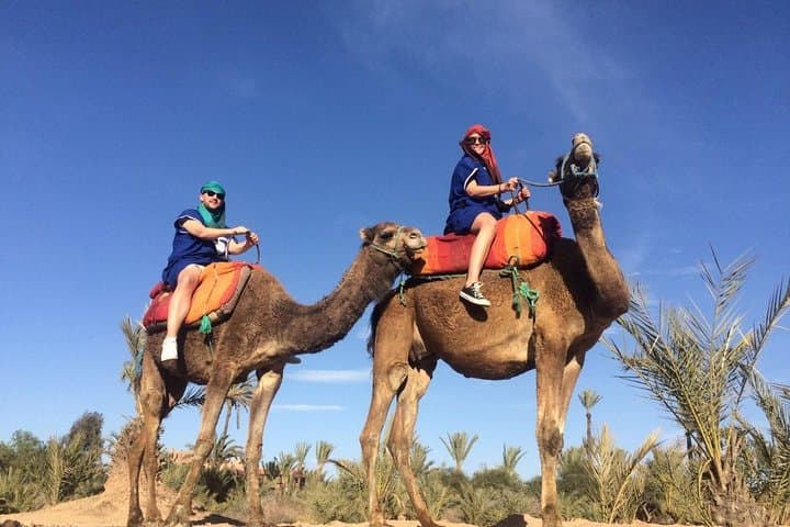 Camel Ride in the Palmeraie of Marrakech: Palm-Oasis Experience & Practical Guide photo 2