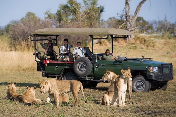 Zambezi Sunset Cruise and Zambezi National Park Game Drive — Boat-to-Bush Safari at Victoria Falls