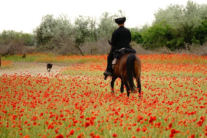 Horseback Riding and Yurt Stay in the Hungarian Puszta: Morning Ride at Homoki Lodge