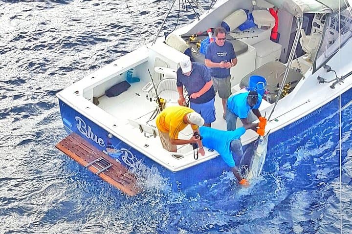 Private Big-Game Fishing Charter in St Lucia — Blue Marlin, Sailfish & Wahoo photo 2