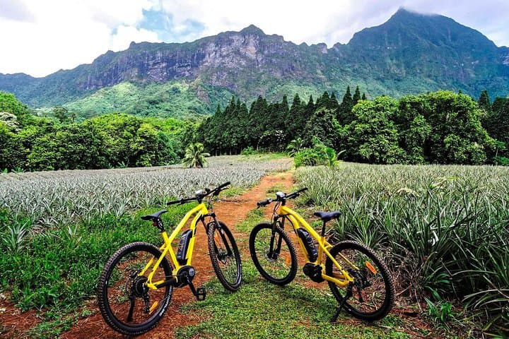 Moorea Electric Bike Rental: Full Island & Bay Explorer photo 3