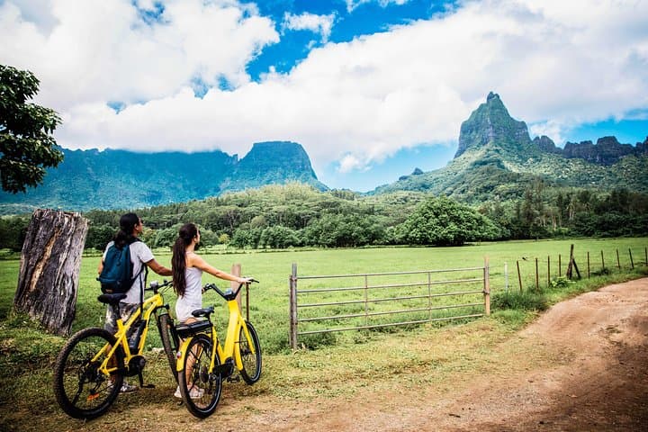 E-Bike to Moorea's Belvedere Lookout: Pineapple Fields, Marae, and Bay Views photo 5