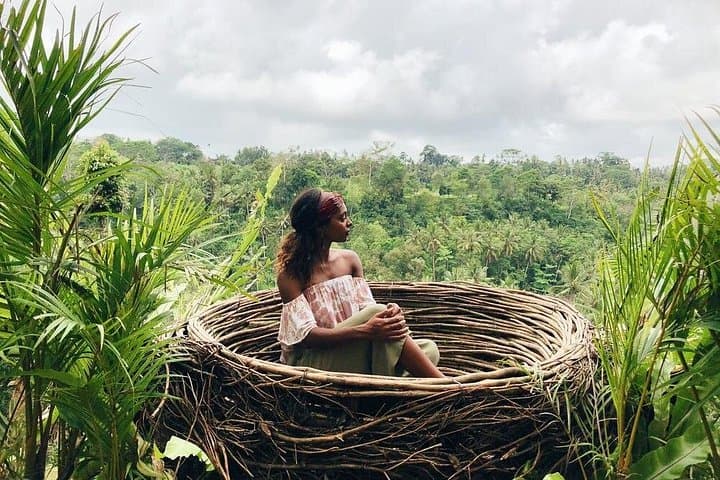 Northern Bali in a Day: Jatiluwih, Ulun Danu & Banyumala Waterfalls photo 3