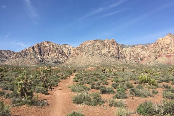 Red Rock Canyon Road Bike Tour — Guided or Self-Guided Scenic Loop from Las Vegas photo 5