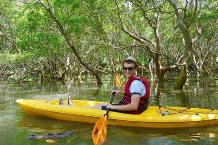 Goa Mangroves Kayaking at Spike's River — Otters, Birds & Tidal Trails