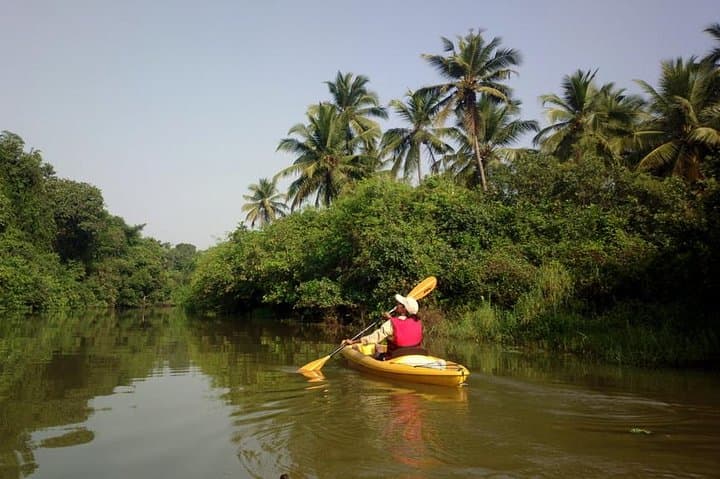 Goa Mangroves Kayaking at Spike's River — Otters, Birds & Tidal Trails photo 2