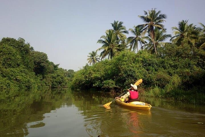 Kayaking the Nerul River: Mangroves, Villages & Prawn Hatcheries in North Goa photo 2