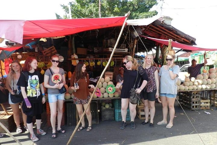 Acapulco Culture & Market Tour with Turtle Release and Cliff Views photo 2