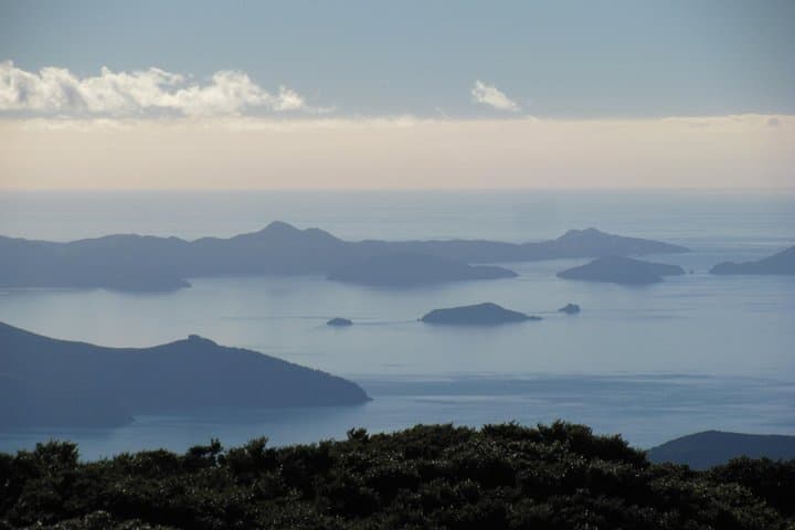 Marlborough Sounds Scenic Helicopter Flight from Picton photo 6