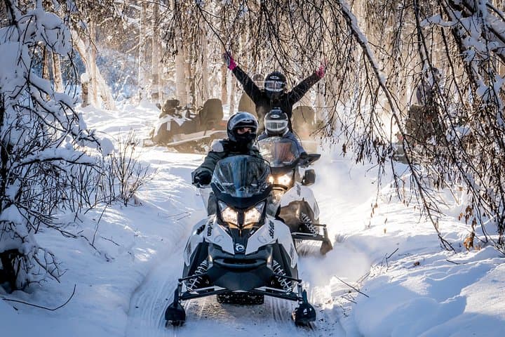 Experience Alaska’s Wilderness: Guided Snowmobile Tour Near Fairbanks