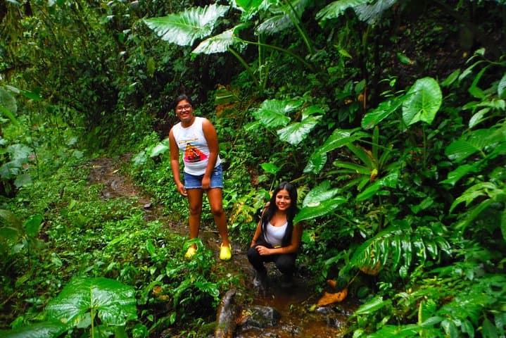 Cloud-Forest-and-Waterfalls-Private-Day-Trip-Bucay-Ecuador