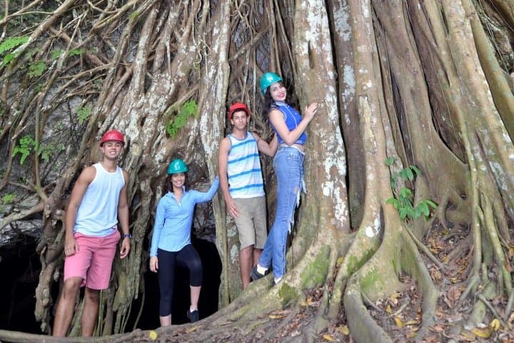 Cueva Ventana Window Cave Tour from San Juan — Arecibo Day Hike & Cave Visit photo 2