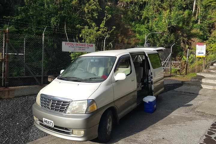 Roseau City Tour: Botanical Gardens, Morne Bruce & Trafalgar Falls photo 4