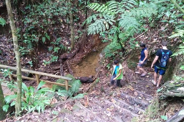 Middleham Falls Hike & Ti'tou Gorge Half-Day: Hike, Swim, and Waterfall Pools in Dominica photo 2