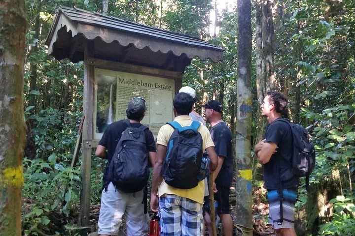Middleham Falls Hike & Ti'tou Gorge Half-Day: Hike, Swim, and Waterfall Pools in Dominica photo 5