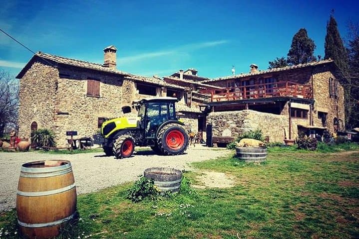 Brunello Day Trip from Florence: Montalcino Wineries & S. Antimo Abbey photo 6