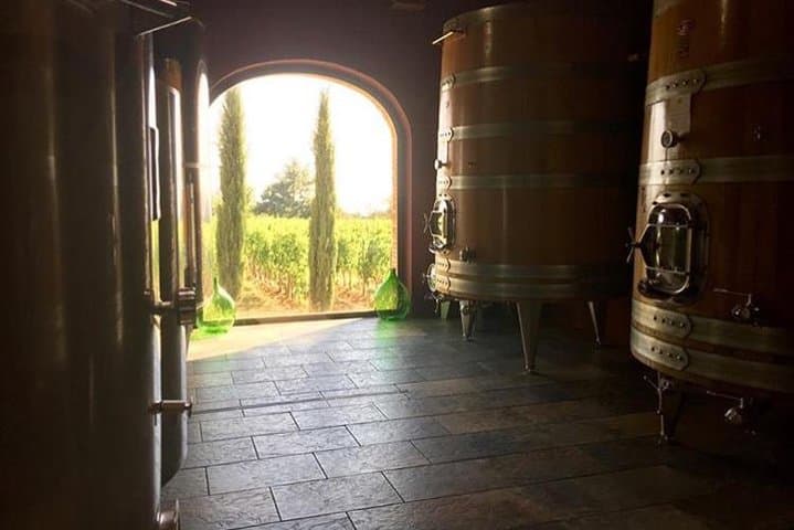 Brunello Day Trip from Florence: Montalcino Wineries & S. Antimo Abbey photo 3