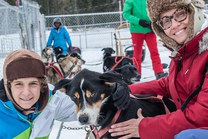 Subarctic Dog Sledding Tour near Fairbanks — 10-Mile Mushing Experience photo 2