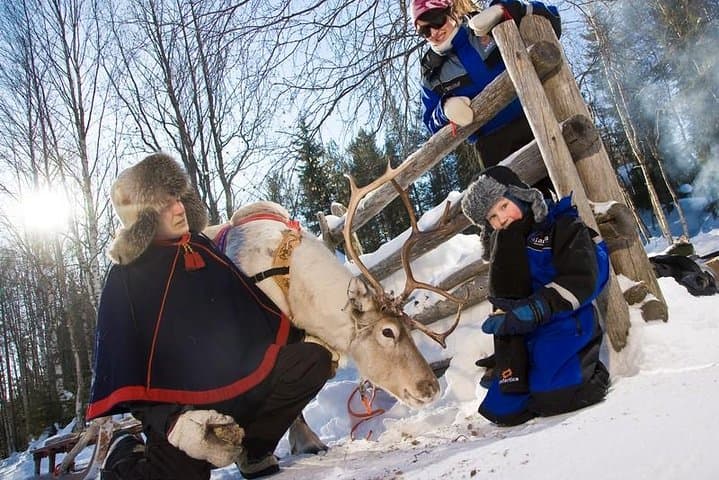 Snowmobile Safari to Reindeer Farm in Rovaniemi: Drive, Meet Reindeer, Earn a License
