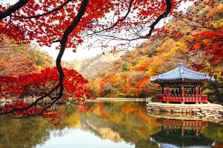 10-Day Autumn Tour: Jeonju, Naejangsan, Seorak, Jeju & Busan (Early November) photo 2