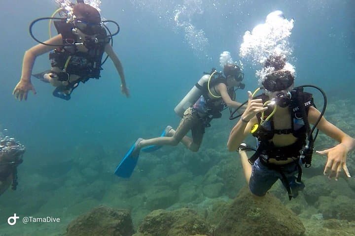 Catalina Islands 2-Dive Day Trip from Tamarindo — Guided Scuba for Certified Divers photo 4