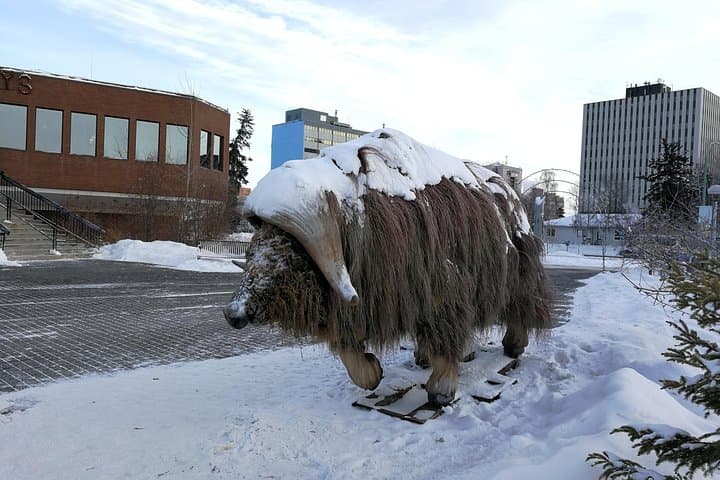 Yellowknife City Tour: Explore the Aurora Capital and Diamond History photo 4