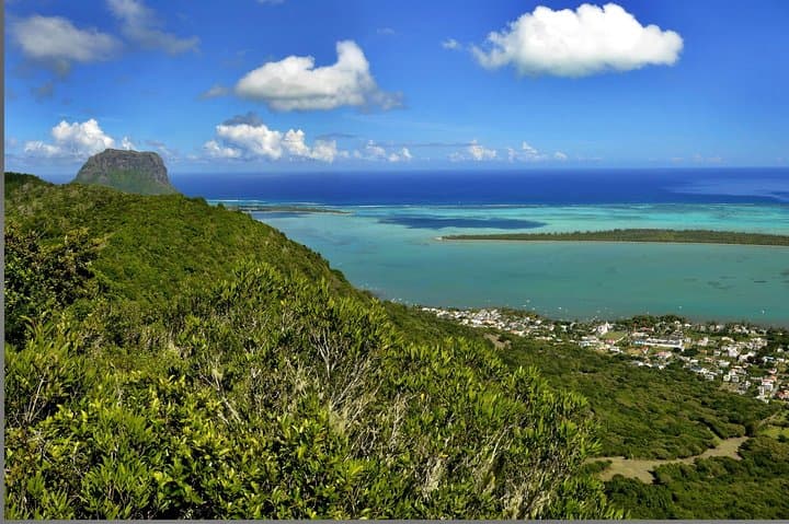 Hike Ebony Forest Reserve Chamarel: Flycatchers, Sublime Point & Native Forest Trails photo 2