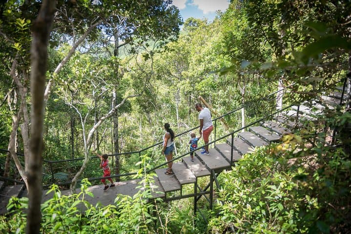 Hike Ebony Forest Reserve Chamarel: Flycatchers, Sublime Point & Native Forest Trails photo 6