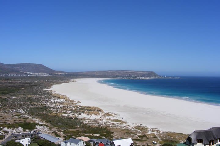 Cape Peninsula Trike Tour: Chapman's Peak, Cape Point & Boulders Penguins photo 5