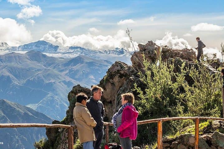 Colca Full Day Tour: Cruz del Cóndor, Vicuñas & High-Altitude Viewpoints photo 2