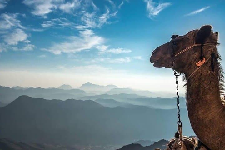 Mount Sinai Sunrise Hike from Sharm El Sheikh: Midnight Ascent & St. Catherine Monastery photo 6