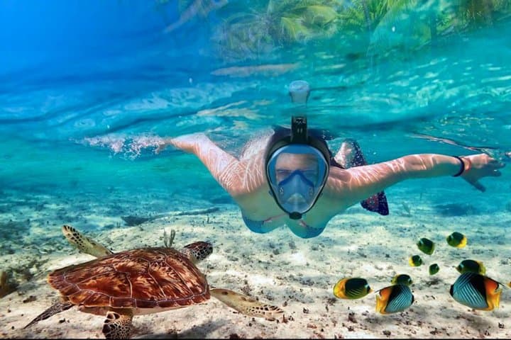 Experience the Ultimate Punta Cana Adventure: Snorkeling, Catamaran & Parasailing photo 6