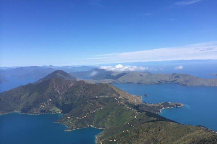 Heli-Fish Marlborough Sounds: D'Urville Island Catch-and-Dine Experience photo 6