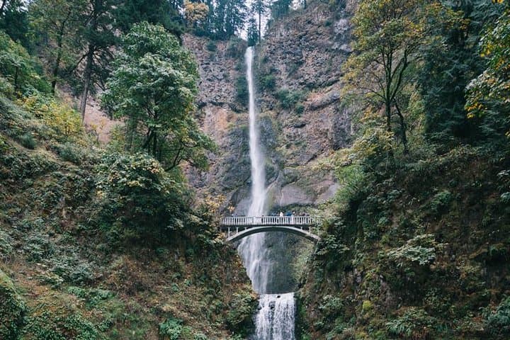 Afternoon Multnomah Falls & Columbia River Gorge Waterfalls Tour from Portland
