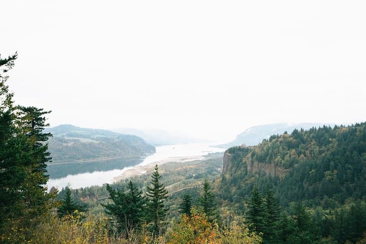 Afternoon Multnomah Falls & Columbia River Gorge Waterfalls Tour from Portland photo 2