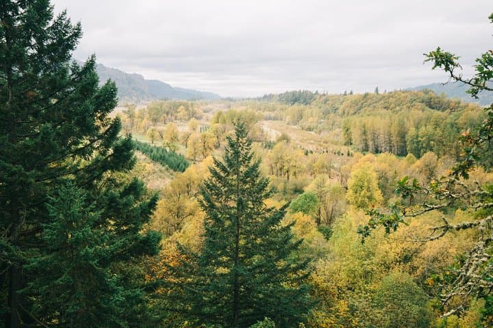 Afternoon Multnomah Falls & Columbia River Gorge Waterfalls Tour from Portland photo 5