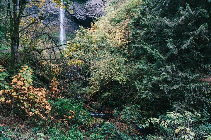 Afternoon Multnomah Falls & Columbia River Gorge Waterfalls Tour from Portland photo 6