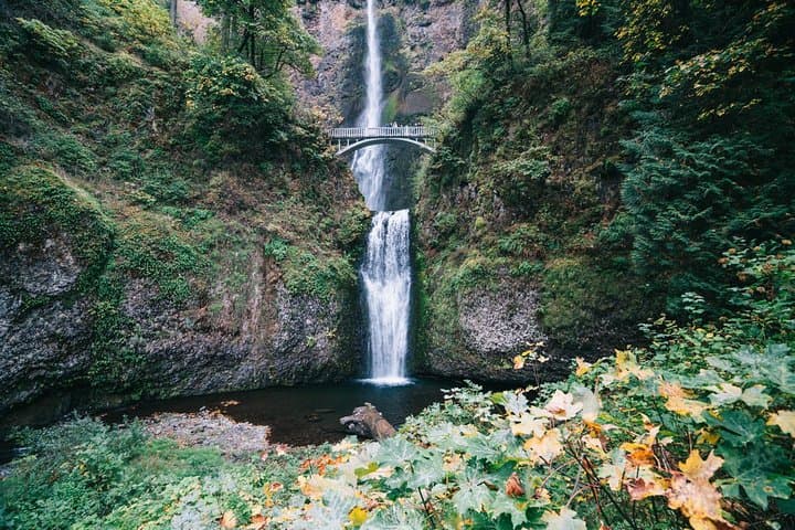 Mt Hood, Waterfalls & Wine Tour from Portland — Multnomah Falls and Columbia Gorge