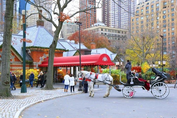 Central Park Private Horse Carriage Tour — 45-Minute Horse-Drawn Ride Through NYC photo 2