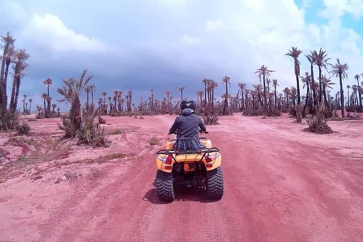 Marrakech Quad Biking and Camel Riding: Palm-Grove Camels & Desert Quads photo 4