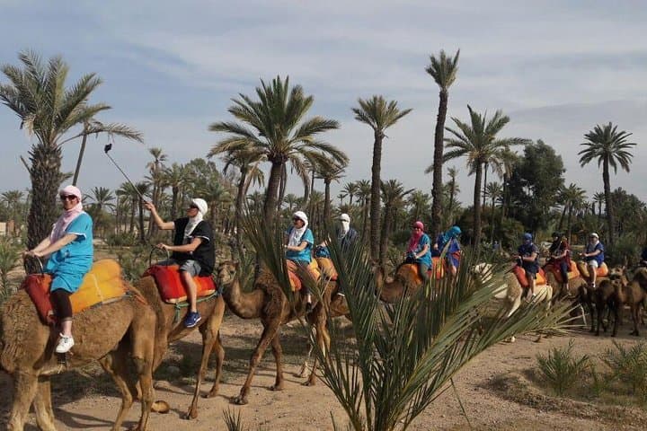 One-Hour Camel Ride Through Marrakech's Palmeraie: A Quiet Escape from the Medina photo 2