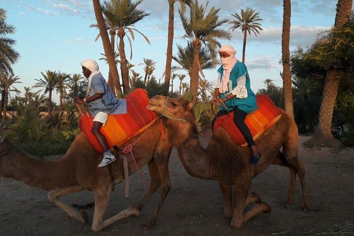 One-Hour Camel Ride Through Marrakech's Palmeraie: A Quiet Escape from the Medina photo 3
