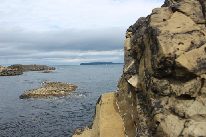 Giant's Causeway Day Tour from Belfast: Coastal Cliffs, Rope Bridge & Local Legends photo 5