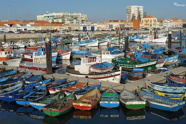 Full-Day Arrabida, Sesimbra & Setúbal Private Wine Tour from Lisbon photo 3