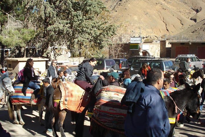 Imlil and High Atlas Day Trip from Marrakech — Toubkal Foothills Trek & Mule Ride photo 2