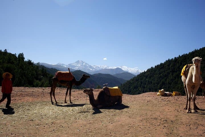 Ourika Valley Full-Day Hike and Cultural Tour from Marrakech photo 4